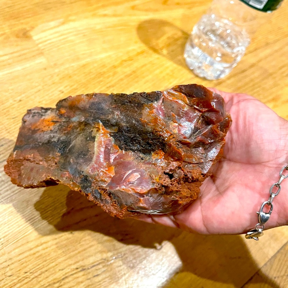 Petrified Wood rare piece